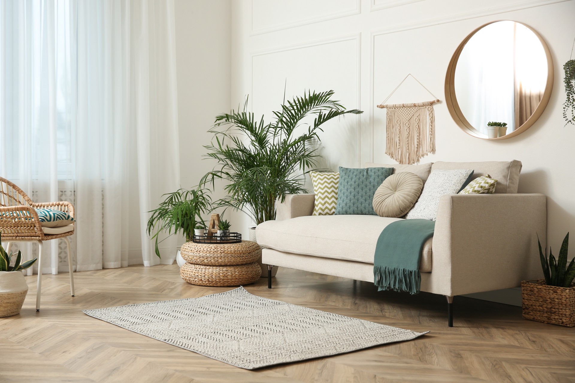 Elegante interior de salón con hermosas plantas de la casa